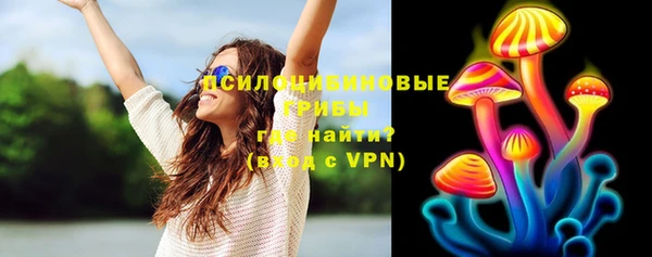 кокс Аша
