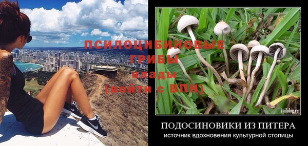 мяу мяу мука Медвежьегорск