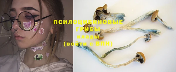 кокс Магас