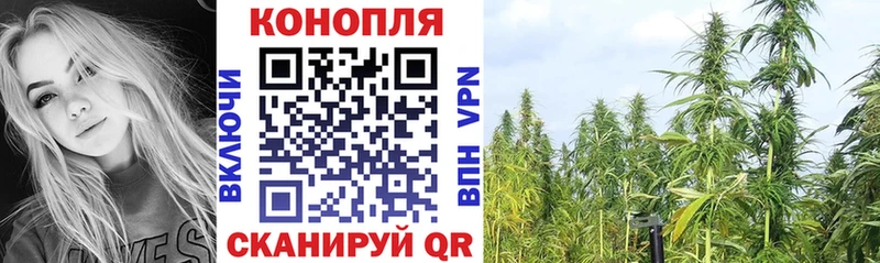 Канабис планчик  мега зеркало  Усмань 